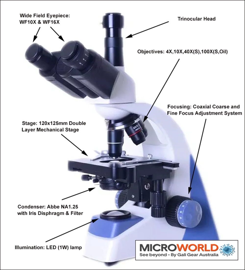 Multi-Purpose Trinocular Biological microscope MWXSP500M