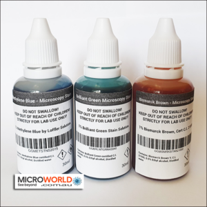 Microscopy Staining Kit - Three Colour